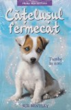 Cumpara ieftin Catelul fermecat