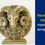 Statueta Zodie Cadou Personalizare Leu Rac Taur Balanta Fecioara Pesti Berbec Gemeni