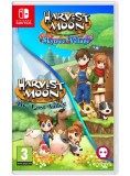 Harvest Moon The Lost Valley &amp; Skytree Village