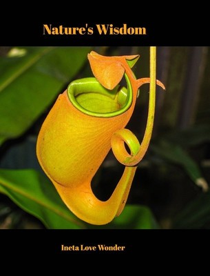 Nature&amp;#039;s Wisdom foto