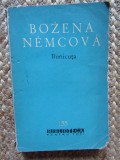 BOZENA NEMCOVA - BUNICUTA