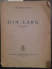 DIN LARG - OCTAVIAN GOGA foto