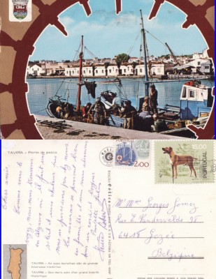 Portugalia- Tavira foto