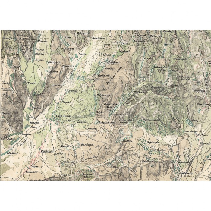 Harta Romaniei Meridionale &ndash; Targu Jiu si imprej., 1864, 50x70cm, reproducere