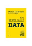 Small Data - Paperback brosat - Martin Lindstrom - Publica