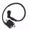 Bobina Inductie ATV 110cc