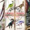 RWANDA 2010 - Dinozauri / blocuri ( 2 imagini)