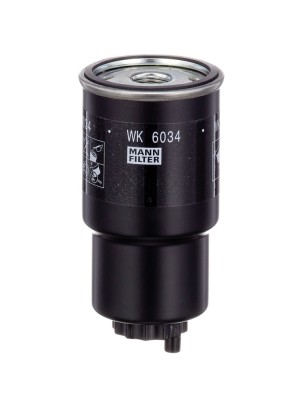 Filtru combustibil Mann-Filter WK6034 foto