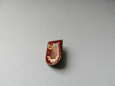 bnk ins Insigna Pionier inventator cls 1 foto