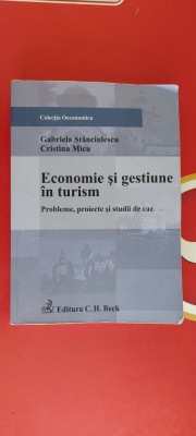 ECONOMIE SI GESTIUNE IN TURISM PROBLEME PROIECTE SI STUDII DE CAZ STANCIULESCU foto