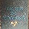 DINU VLAD - PICURI DE TOAMNA (VERSURI, editia princeps - 1989)