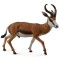Figurina antilopa springbok l collecta