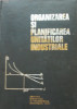Organizarea și planificarea unităților industriale - Paraschiv Vagu