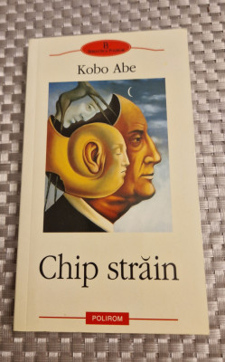 Chip strain Kobo Abe foto
