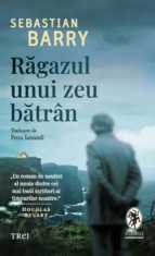 Ragazul unui zeu batran/Sebastian Barry