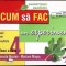 CUM SA FAC UN EXPERIMENT, CLASA A IV-A-MARCELA NICULAE, MARIANA MOGOS-261352