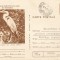 *Romania, Animale ocrotite in Romania, Starci, c. p. s. circulata loco, 1978