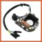 Magnetou Stator ATV 2 bobine - compatibil Mini ATV 125cc - 2