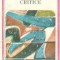 Critice (Studii si articole)