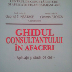 Gabriel I. Nastase - Ghidul consultantului in afaceri (2010)