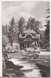 bnk cp Vatra Dornei - Vedere din parc - necirculata
