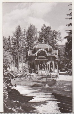 bnk cp Vatra Dornei - Vedere din parc - necirculata foto