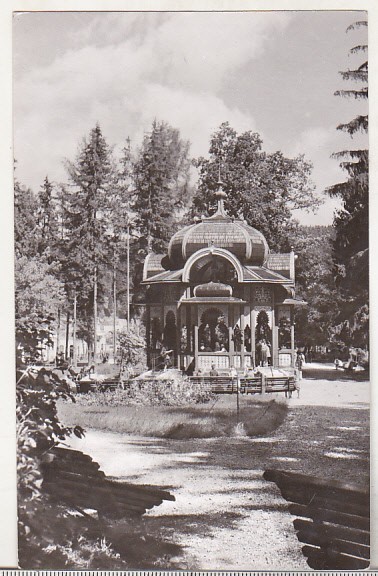 bnk cp Vatra Dornei - Vedere din parc - necirculata