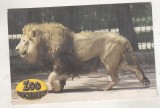 bnk cp Zoo Bucuresti - Leu - necirculata