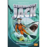 Geheimagent Jack - Die Suche nach dem gestohlenen Schatz - Elizabeth Singer Hunt