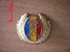QW14 - Emblema militara / cuc - uscat - anii 1990 - piesa de colectie