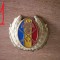 QW14 - Emblema militara / cuc - uscat - anii 1990 - piesa de colectie