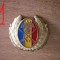 MCT - EMBLEMA MILITARA - ANII 90 - VARIANTA SIMPLA - LOT A