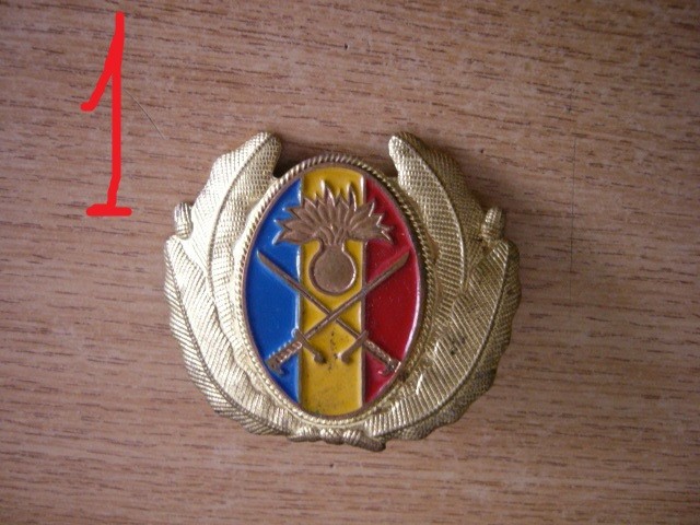 M3 C16 - Emblema militara - anii 90 - uscat