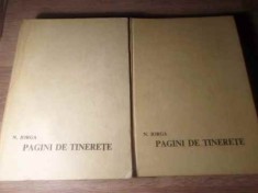 PAGINI DE TINERETE VOL.1-2-NICOLAE IORGA-263894 foto