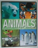 ANIMALS , DISCOVER THE AMAZING DIVERSITY OF NATURE , 2015