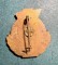 Insigna CTA varianta mare - 2