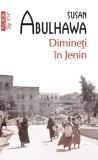 Dimineti in Jenin - Susan Abulhawa - Polirom
