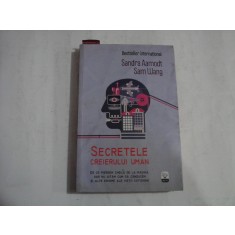 SECRETELE CREIERULUI UMAN De ce pierdem cheile de la masina, dar nu uitam cum sa conducem si alte enigme ale vietii cotidiene - Sandra Aam