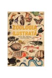 Zoologia ilustrată - Maria Carmen Soria