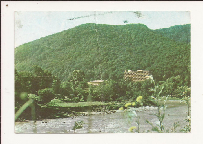 RC15 -Carte Postala- Caciulata, circulata 1987