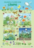 Planșă - Fauna și flora din c&acirc;mpie - Paperback - Nelson Verlag - Didactica Publishing House