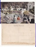 Deleni (Harlau, Iasi) - Cariera de piatra- rara