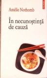 IN NECUNOSTINTA DE CAUZA-AMELIE NOTHOMB-277500