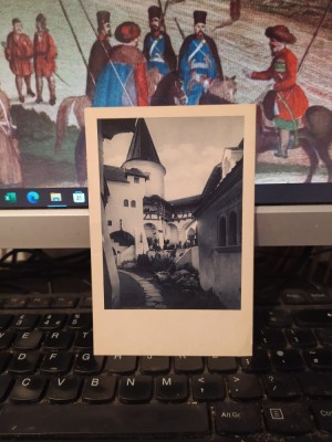 Castel Bran, Curtea interioară, colecția C. Stefanovici, circa 1925, 205 foto