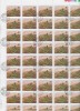 UNGARIA- 1980 -2 COLI COMPLETE (COTA 10 EURO), Stampilat
