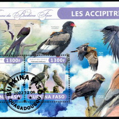 BURKINA FASO 2022 - Fauna africana, Pasari de prada /colita