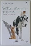 BUDDHA , CASANOVA , SI CU MINE , O KARMA CU PERIPETII de DAVID SAFIER , 2012