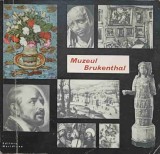 MUZEUL BRUKENTHAL. GALERIA DE ARTA PLASTICA-COLECTIV-223117