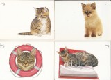 bnk cp Pisici - lot 20 carti postale