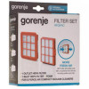 Set filtre aspirator Gorenje 732742 HFGFAC